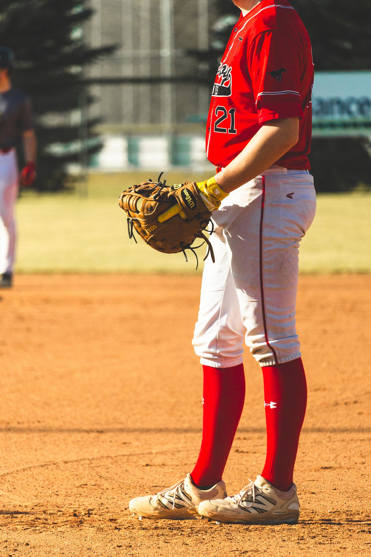 Baseball Photo
