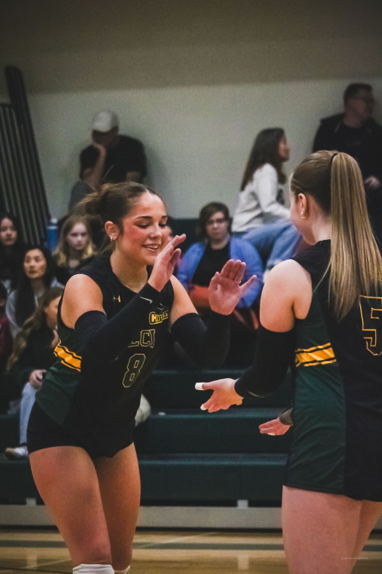 Volleyball photo