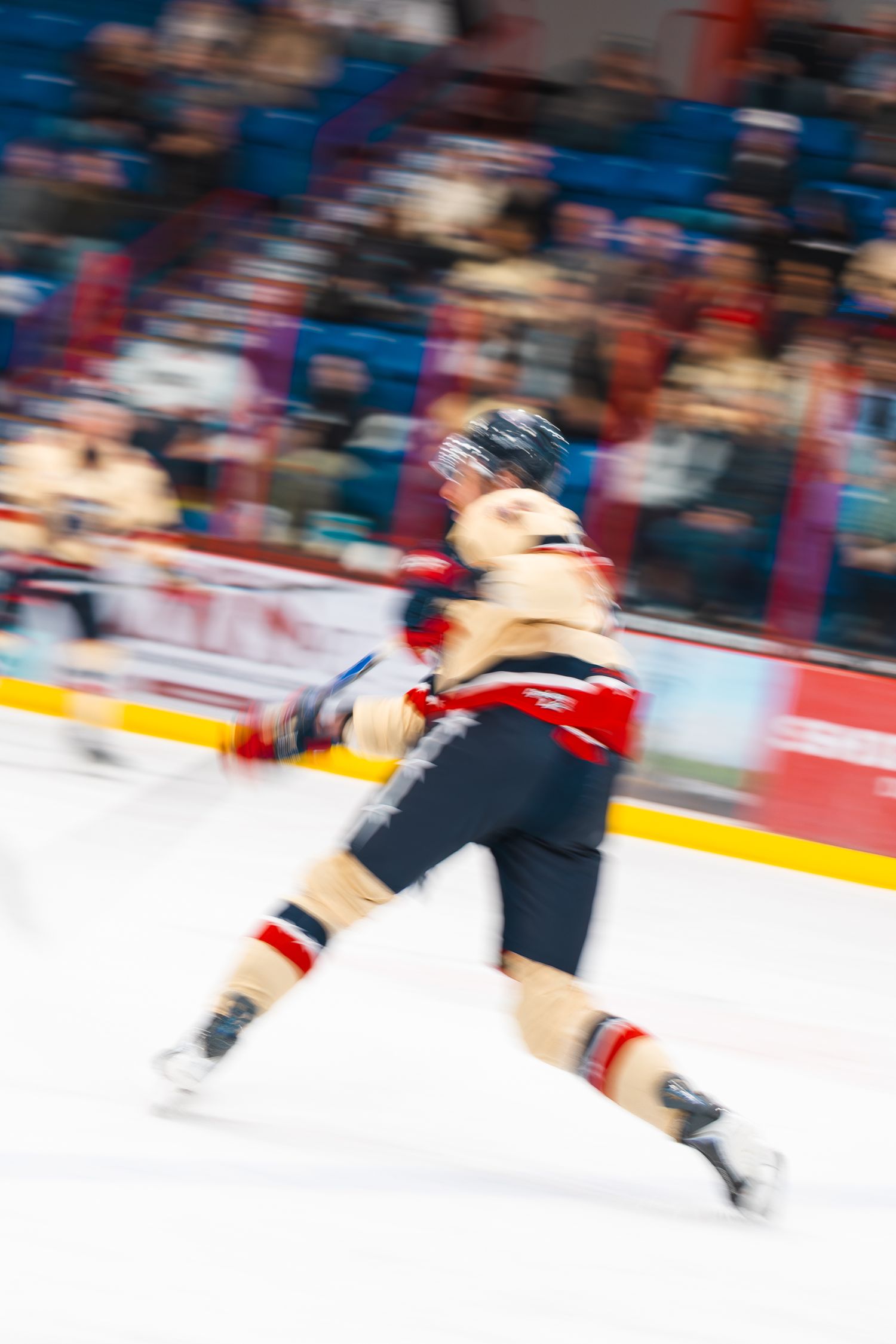 Hockey Photo