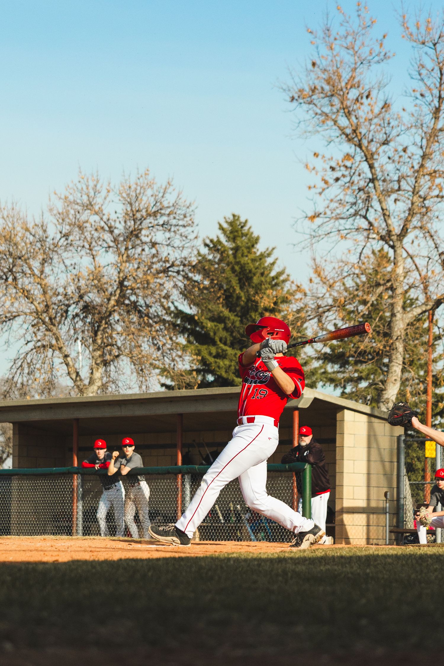 Baseball Photo