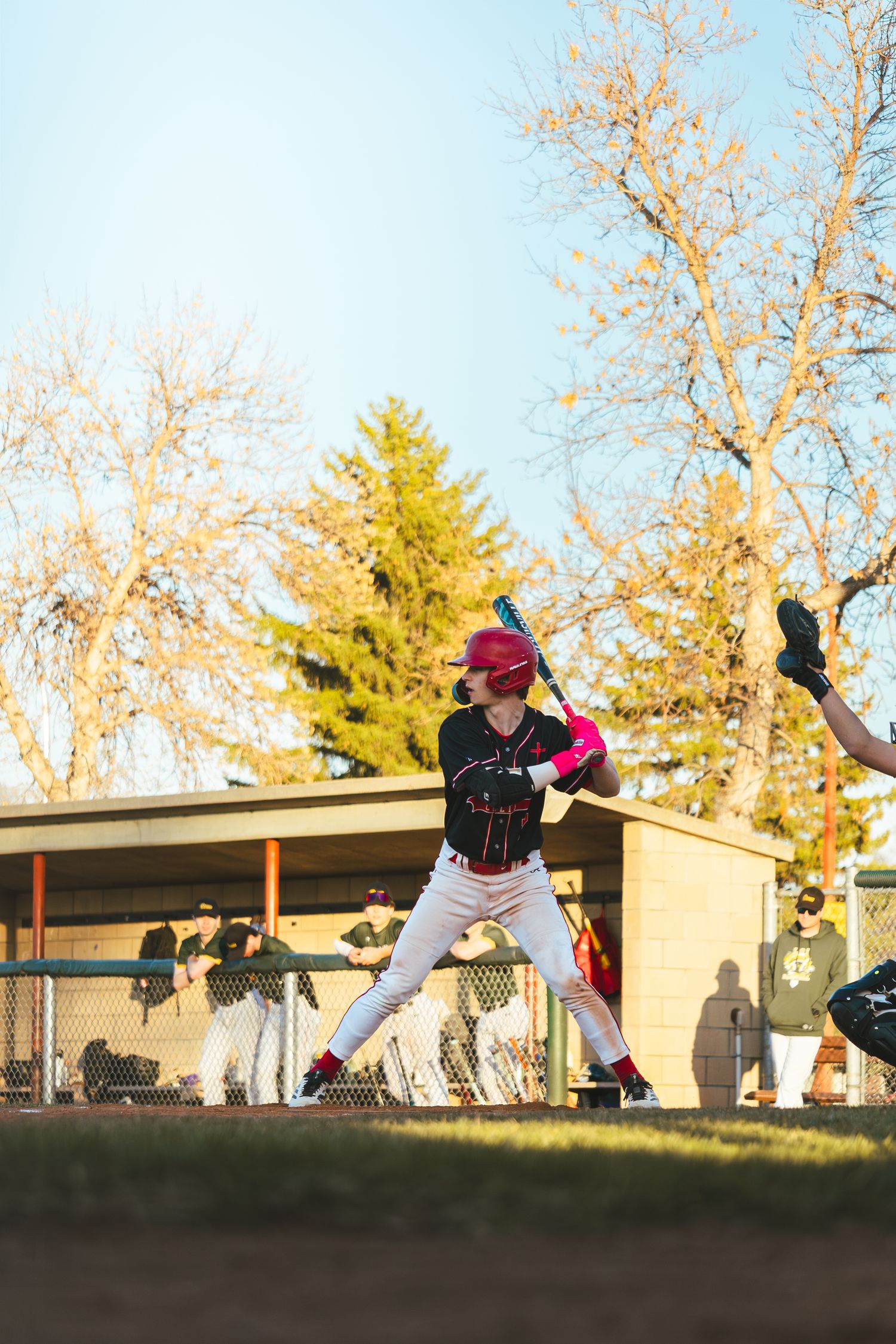 Baseball Photo