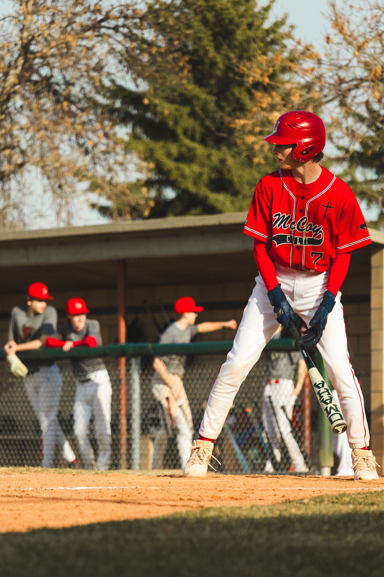 Baseball Photo