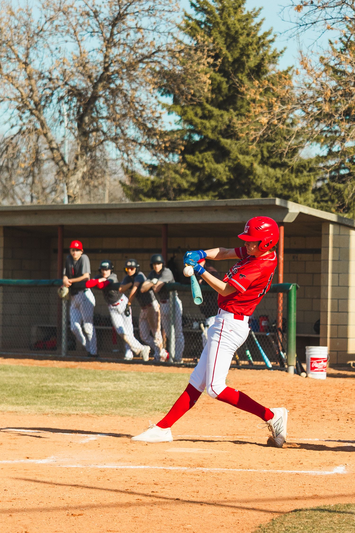 Baseball Photo