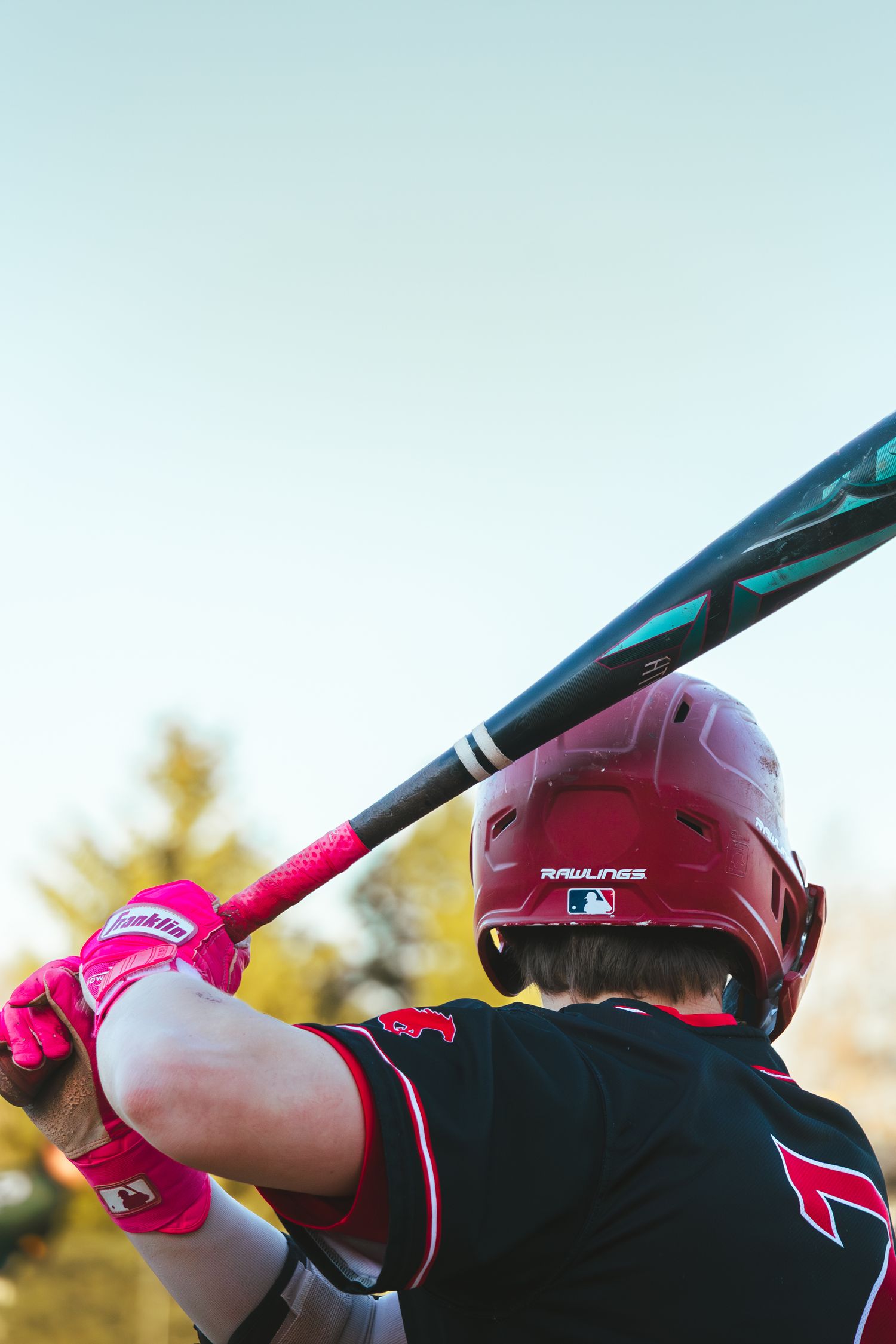Baseball Photo