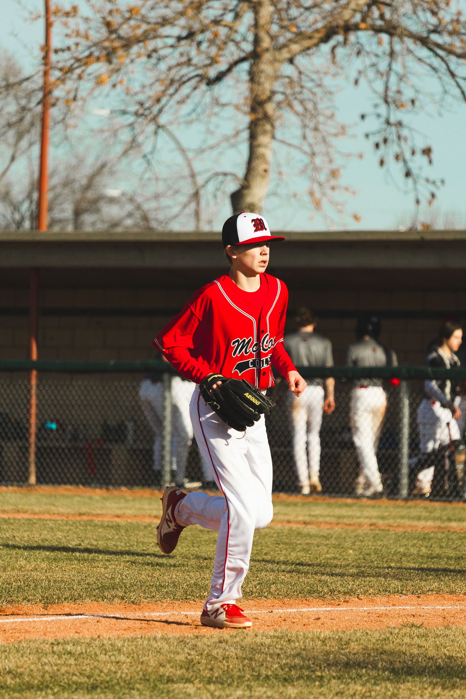Baseball Photo