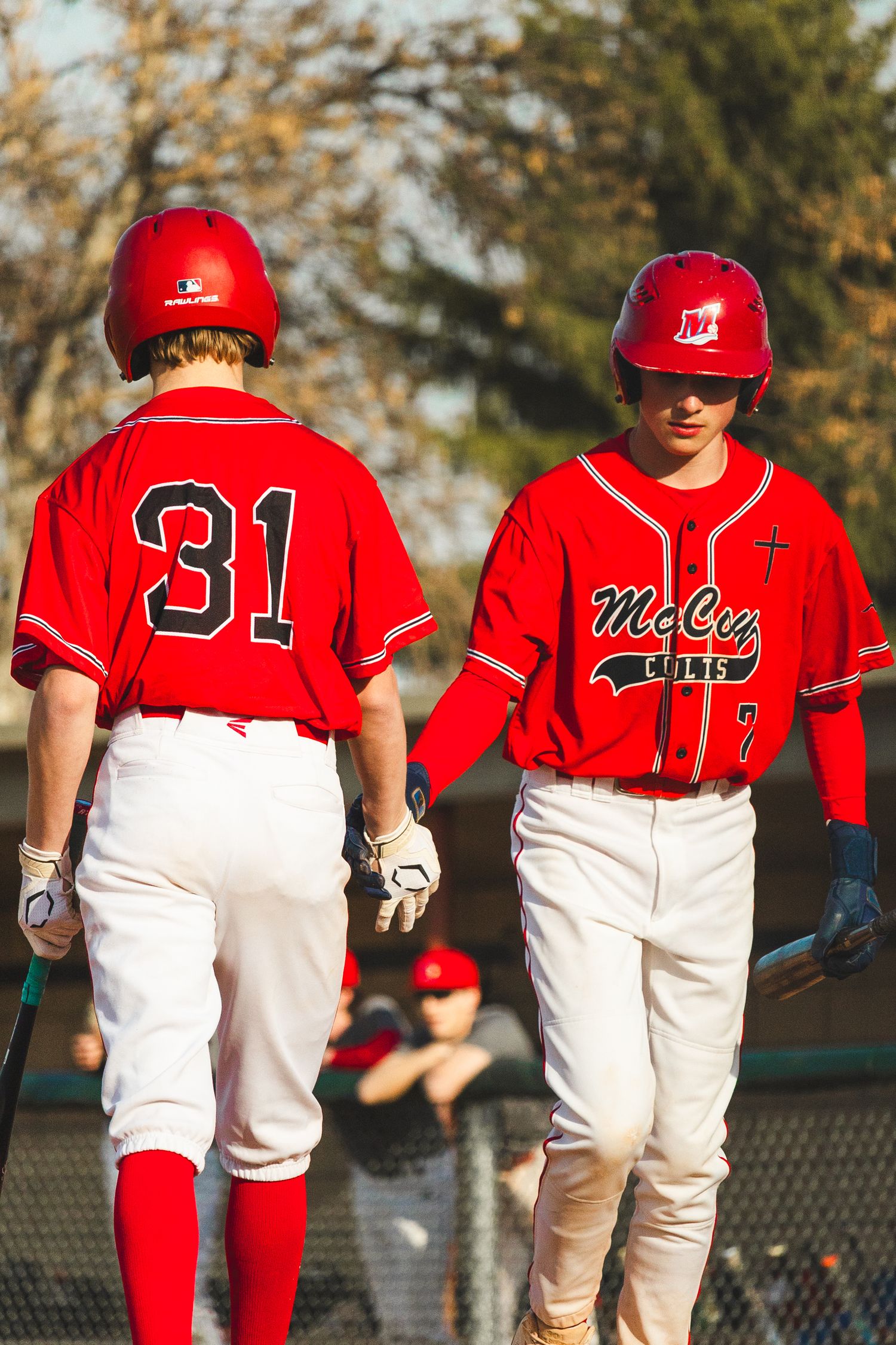 Baseball Photo