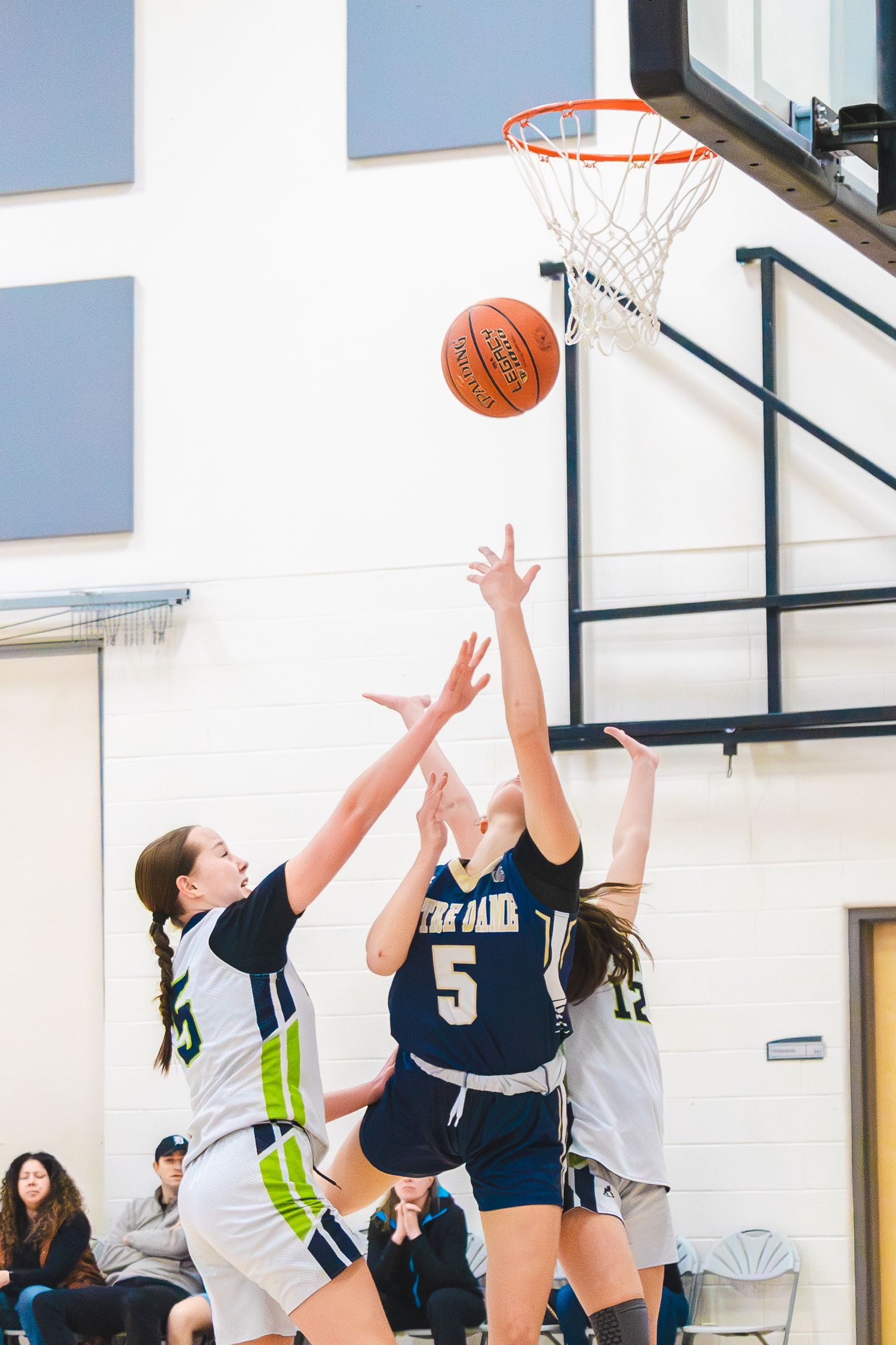 Basketball photo