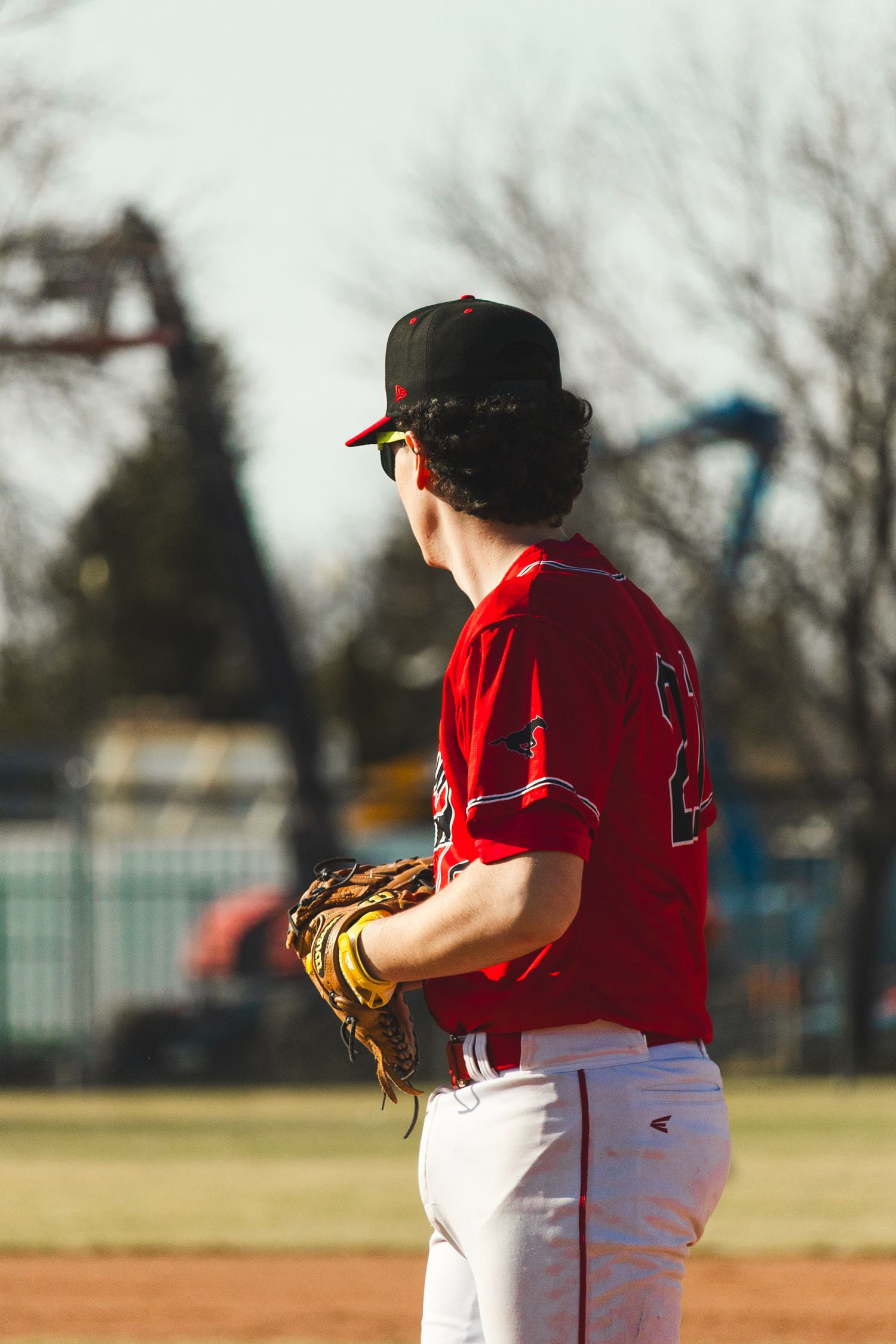 Baseball Photo