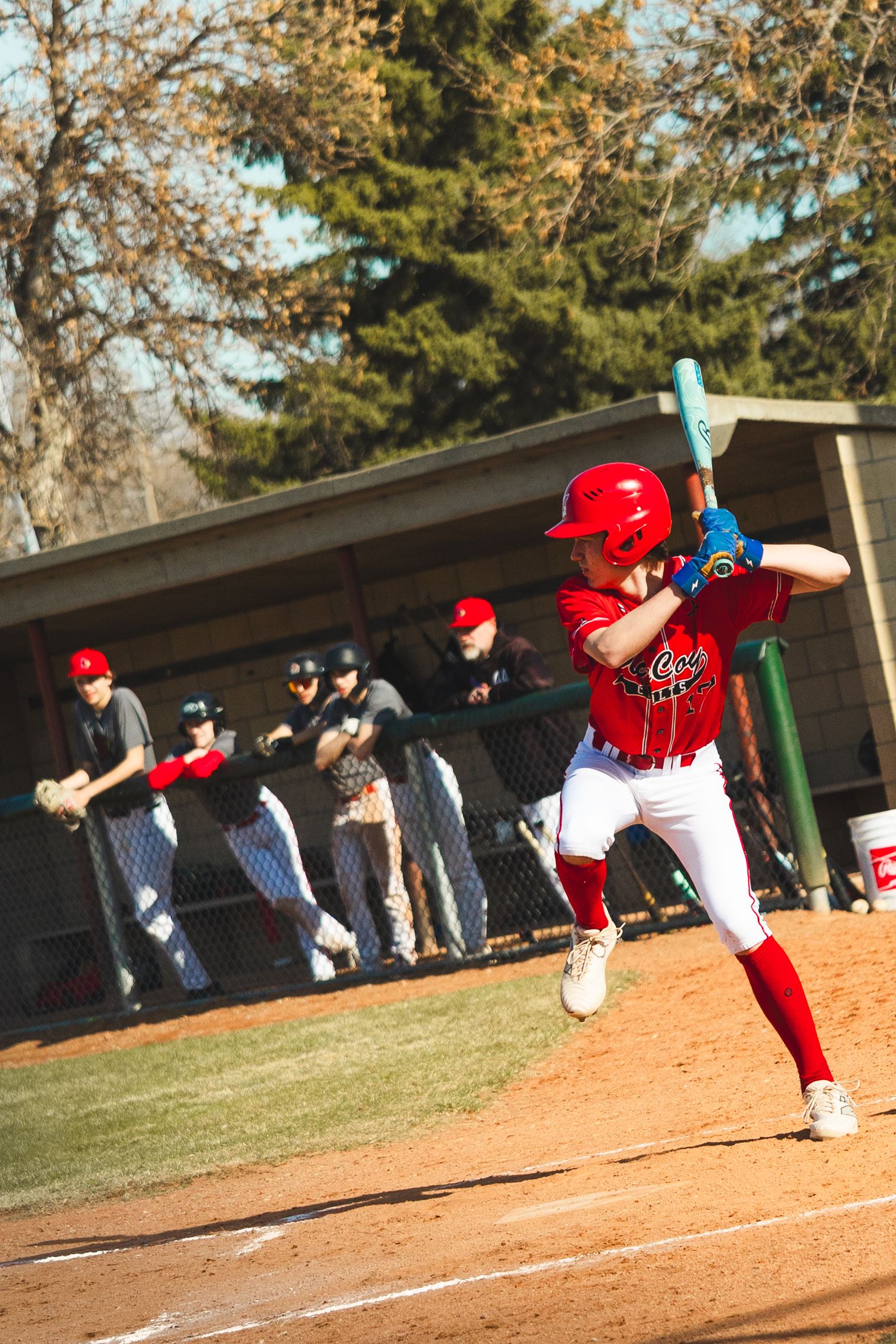 Baseball Photo