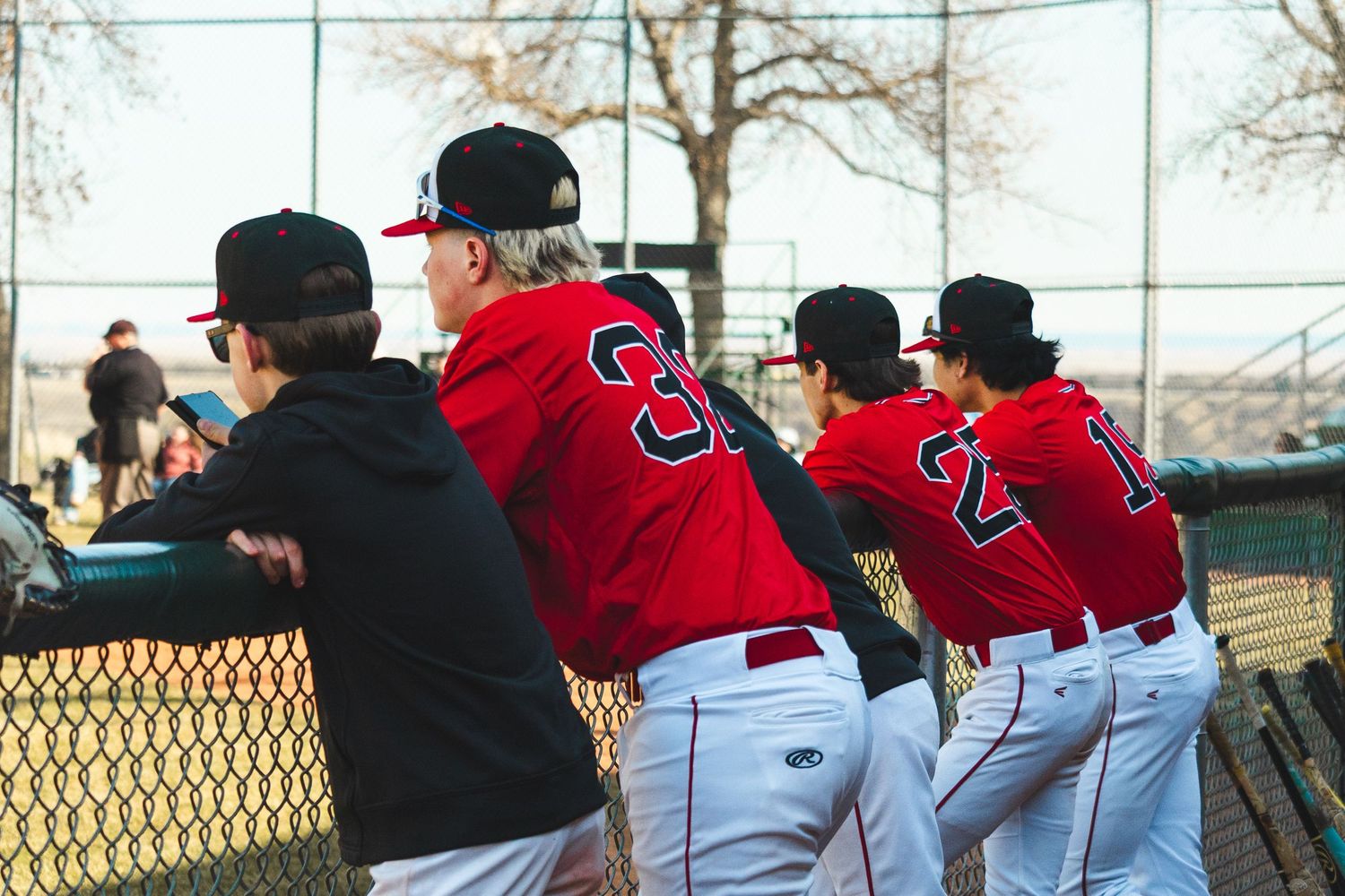 Baseball Photo