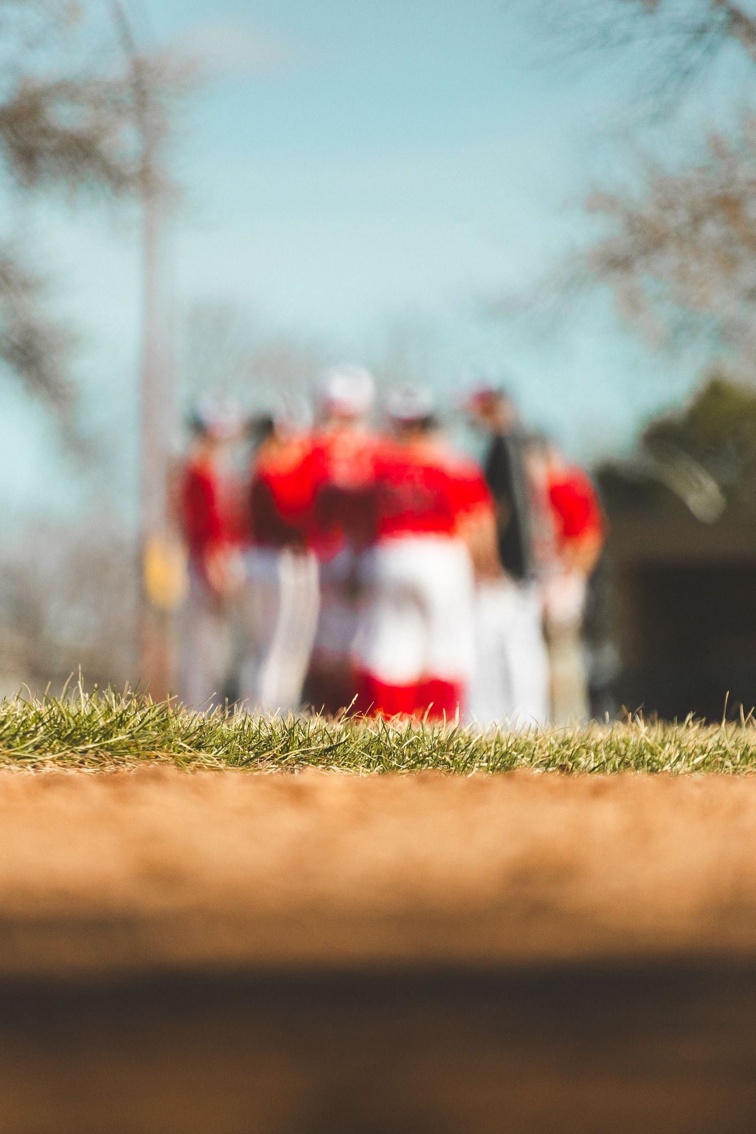 Baseball Photo