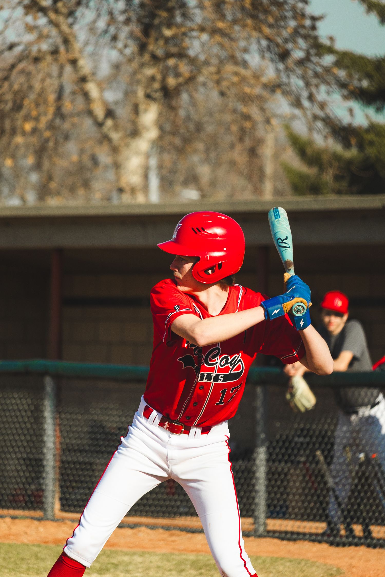 Baseball Photo