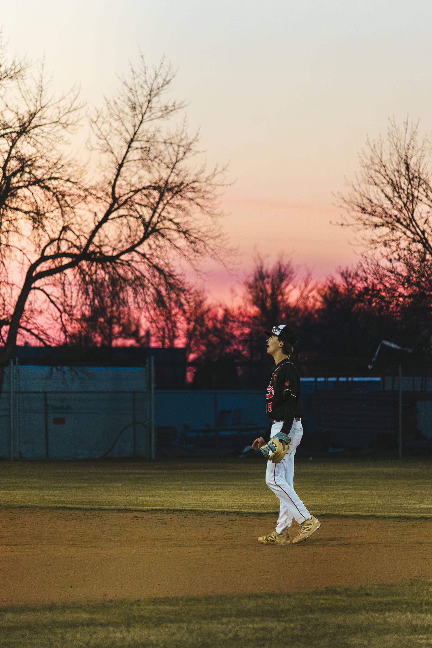 Baseball Photo