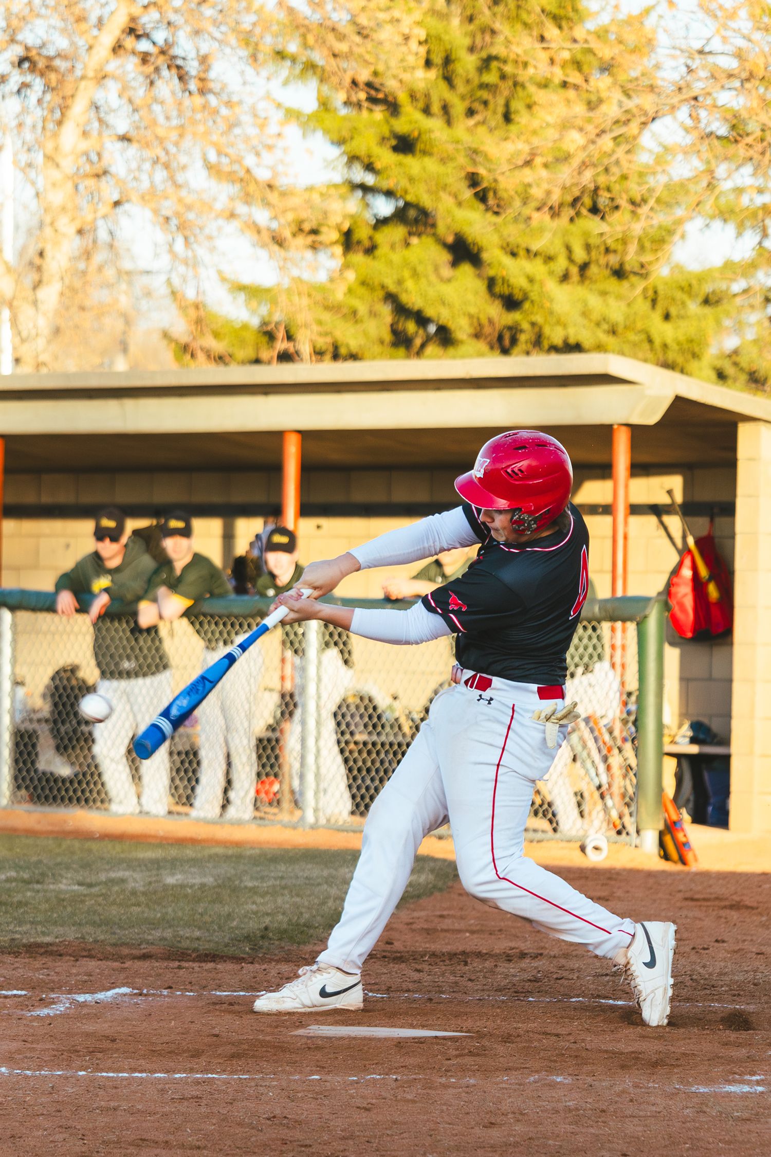 Baseball Photo