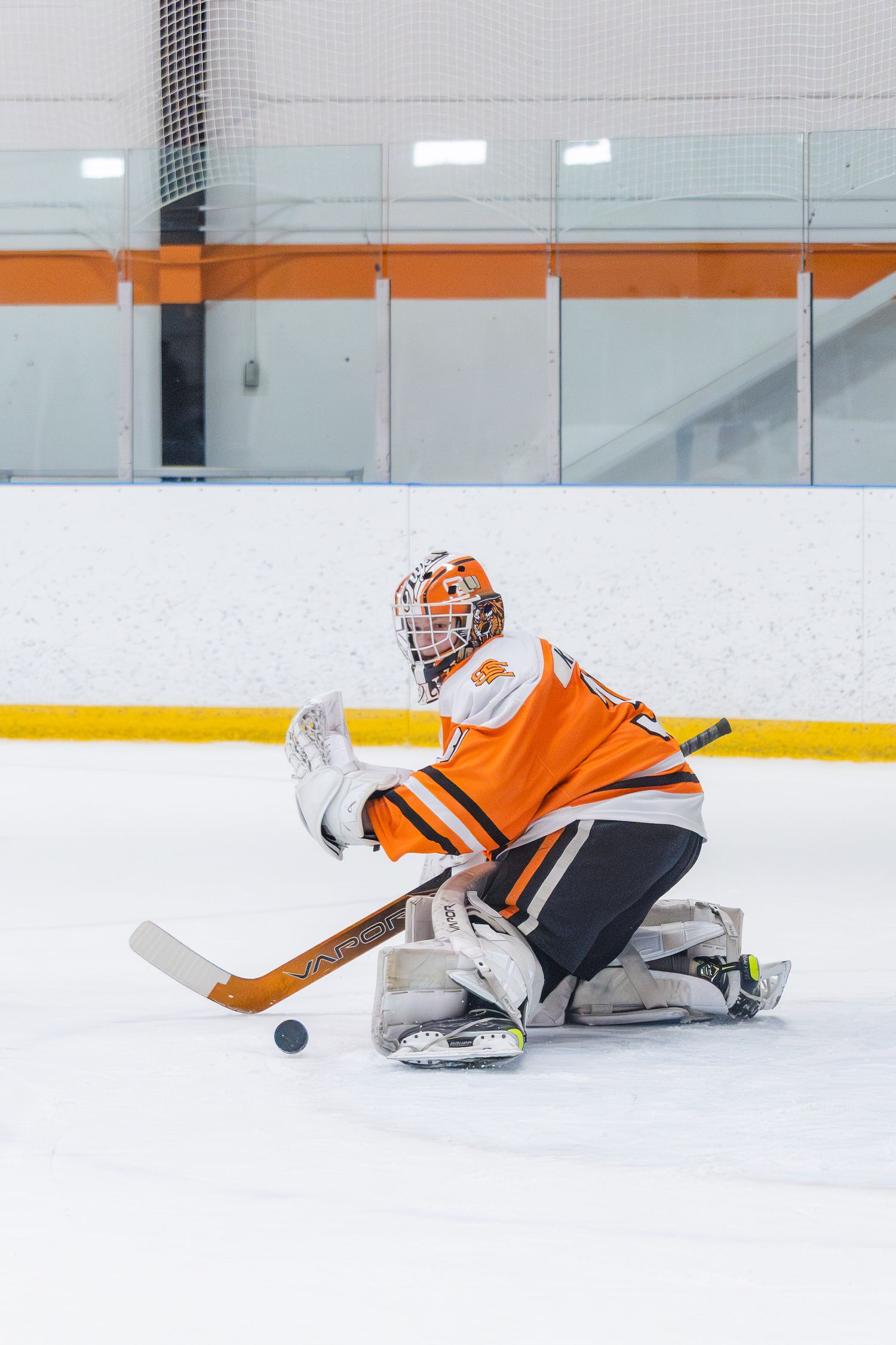 Hockey Photo