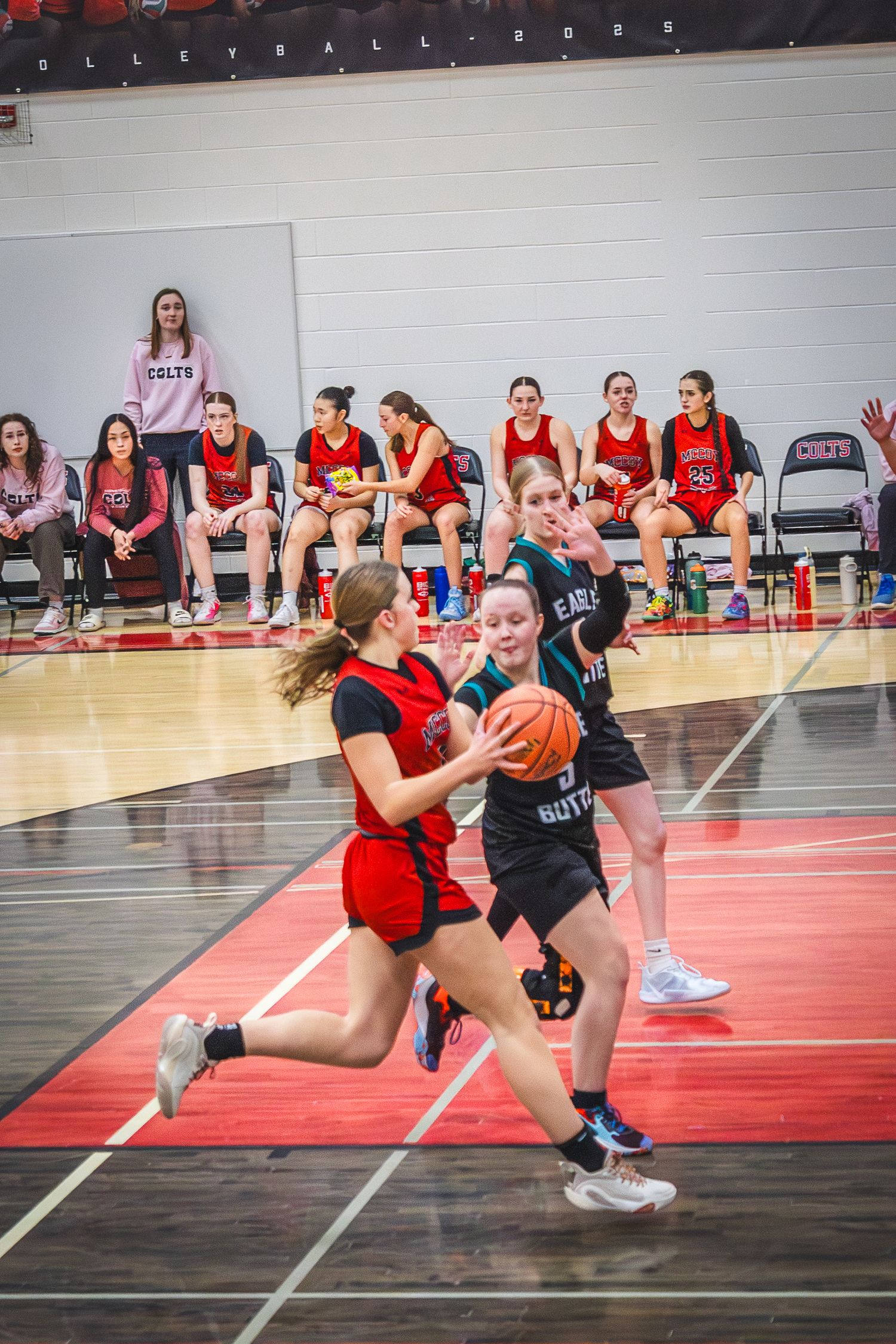 Basketball photo