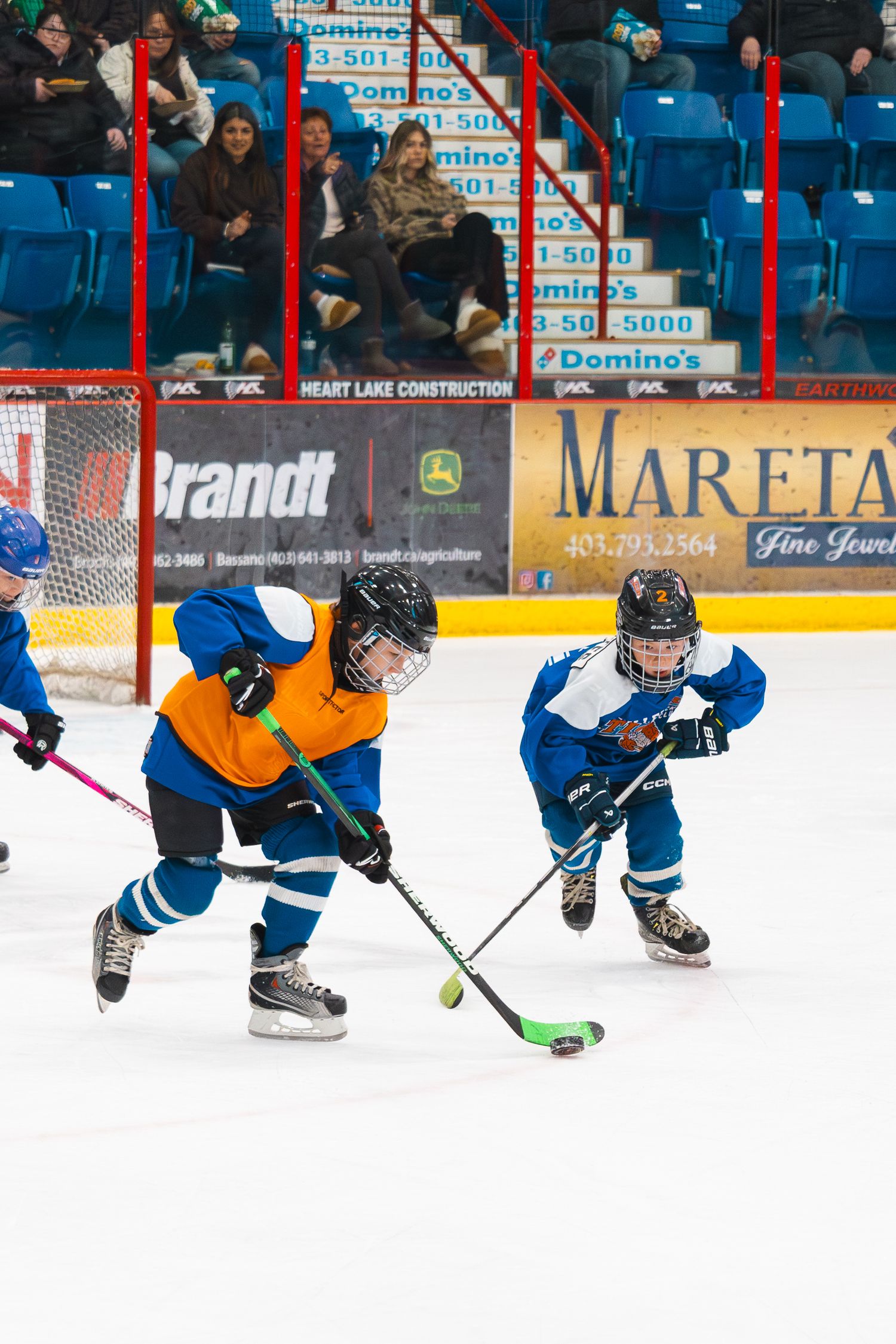 Hockey Photo