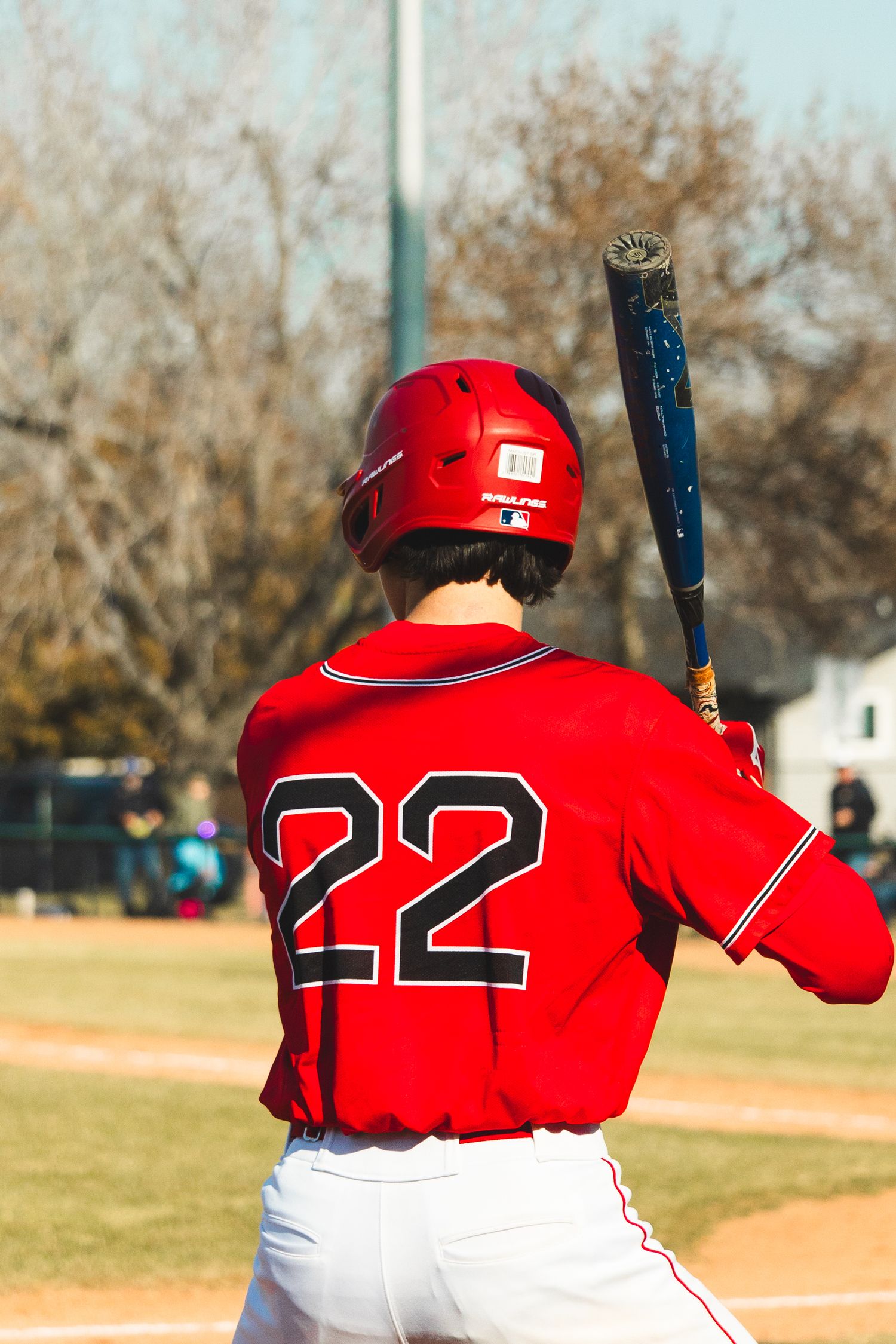 Baseball Photo