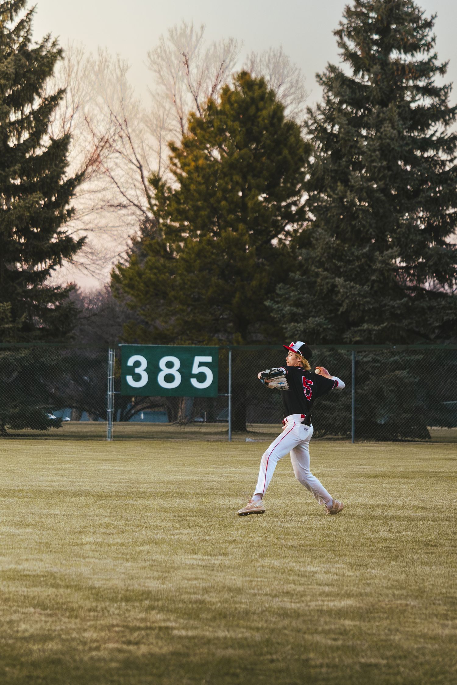 Baseball Photo