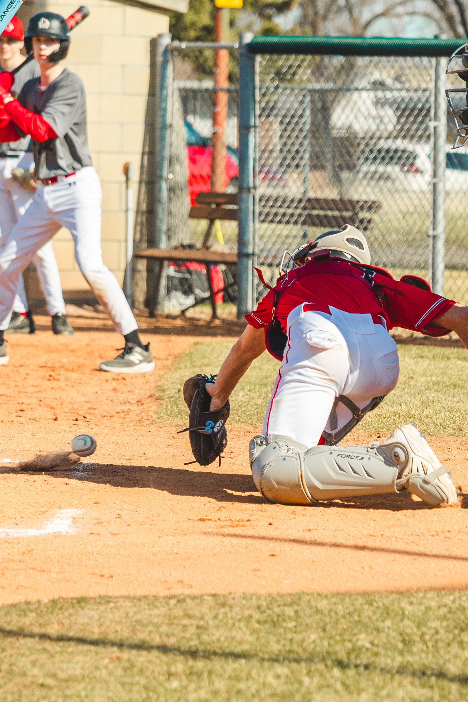 Baseball Photo