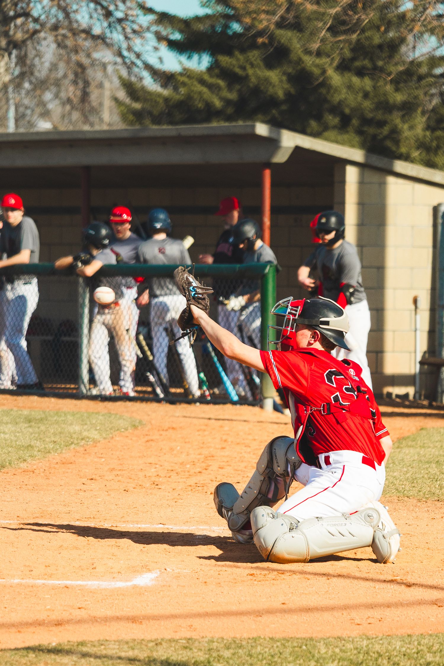 Baseball Photo