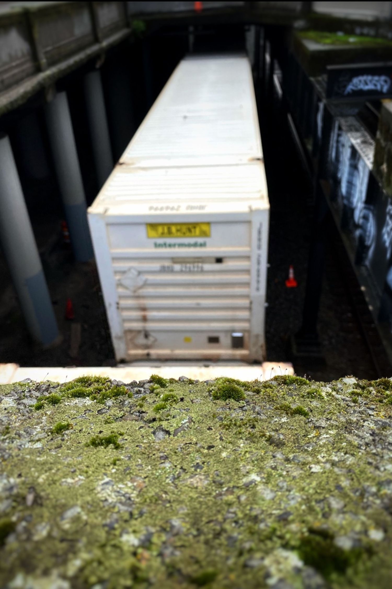 Portrait of a train passing in Seattle