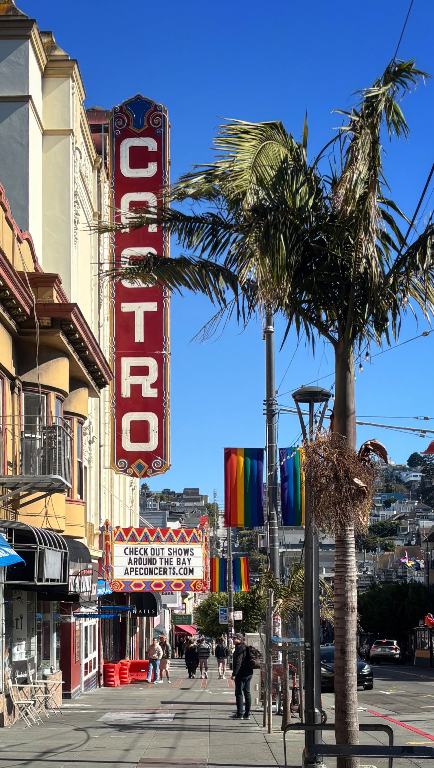 Palm tree lined sidewalk with Castro Theatre sign and rainbow flags in San Francisco.
