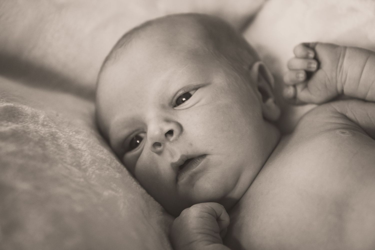Black and white close-up of alert newborn baby resting peacefully on mothers chest.