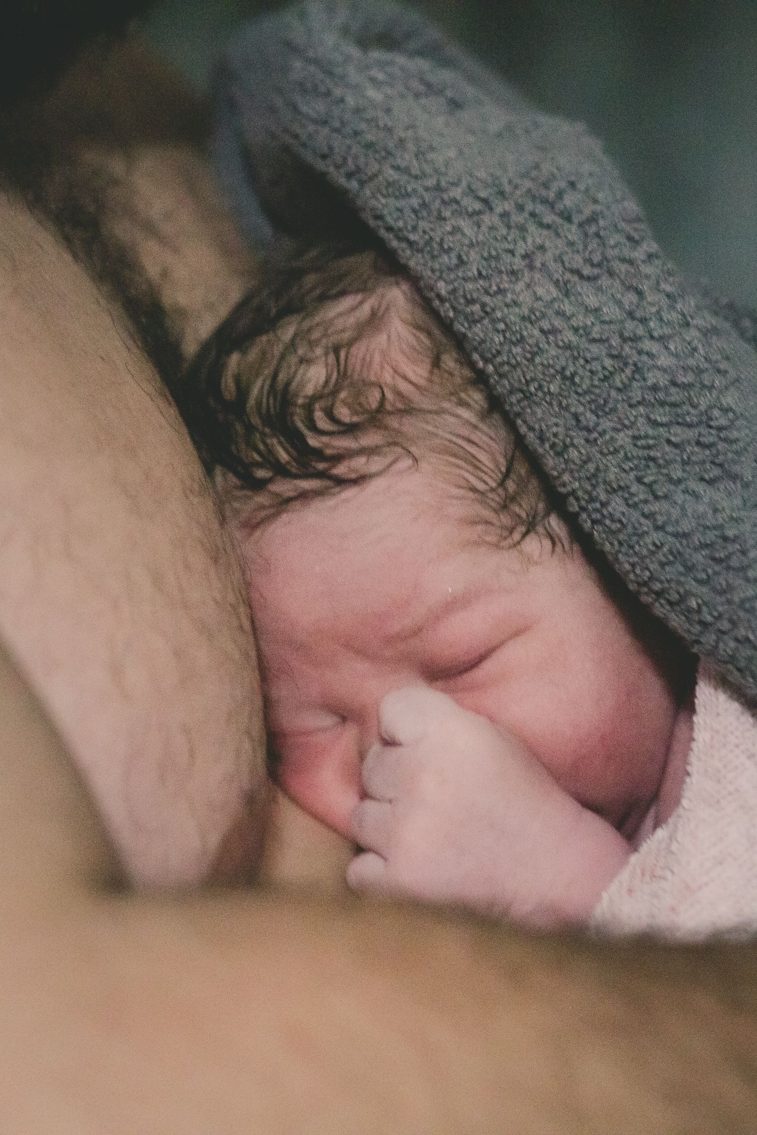 Newborn baby with dark wet hair sleeping peacefully wrapped in gray towel after birth.