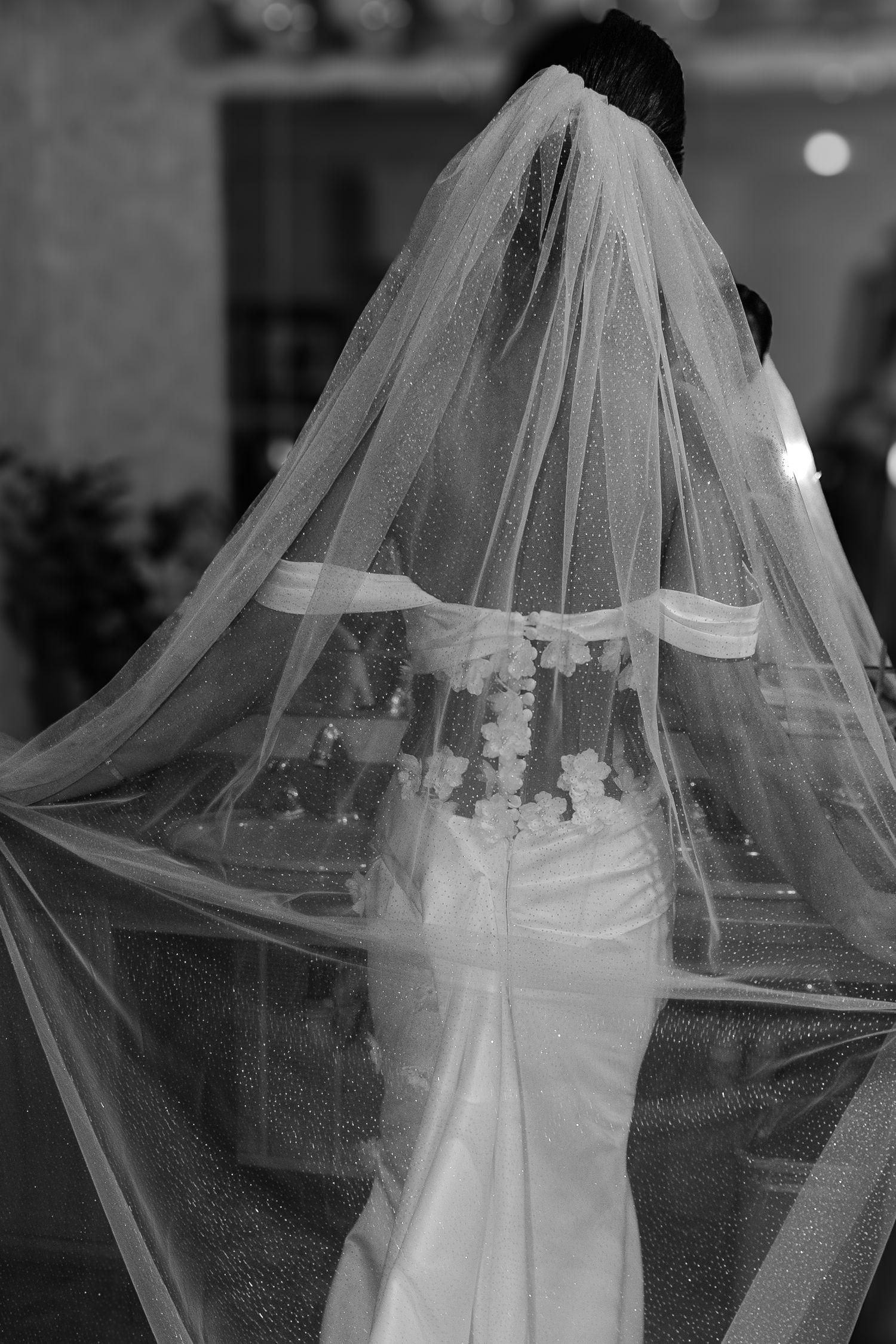 Elegant bride photographed from behind showcasing her flowing cathedral veil and fitted wedding gown.