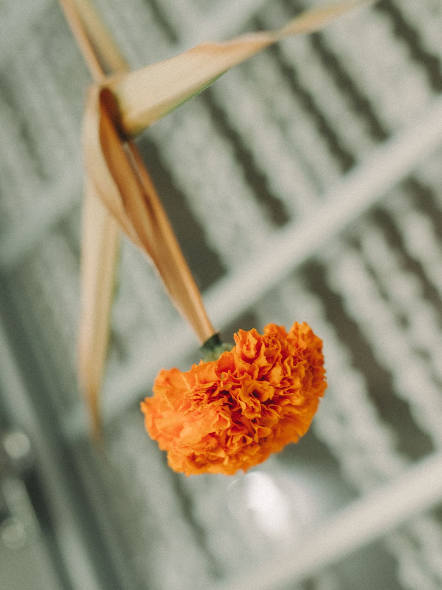 indian documentary wedding photography singapore