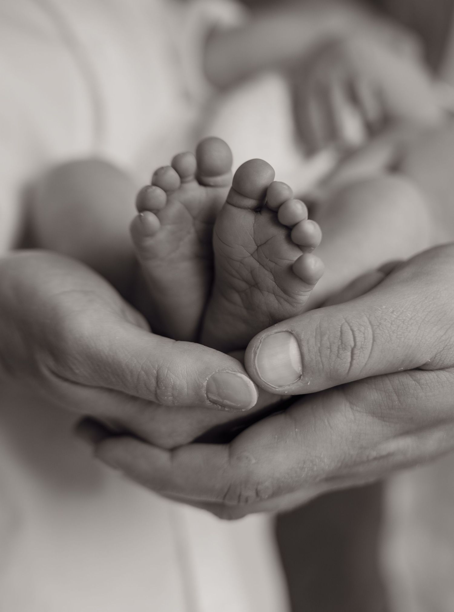 Black and white close-up photo of tiny baby feet being gently held in adult hands.
