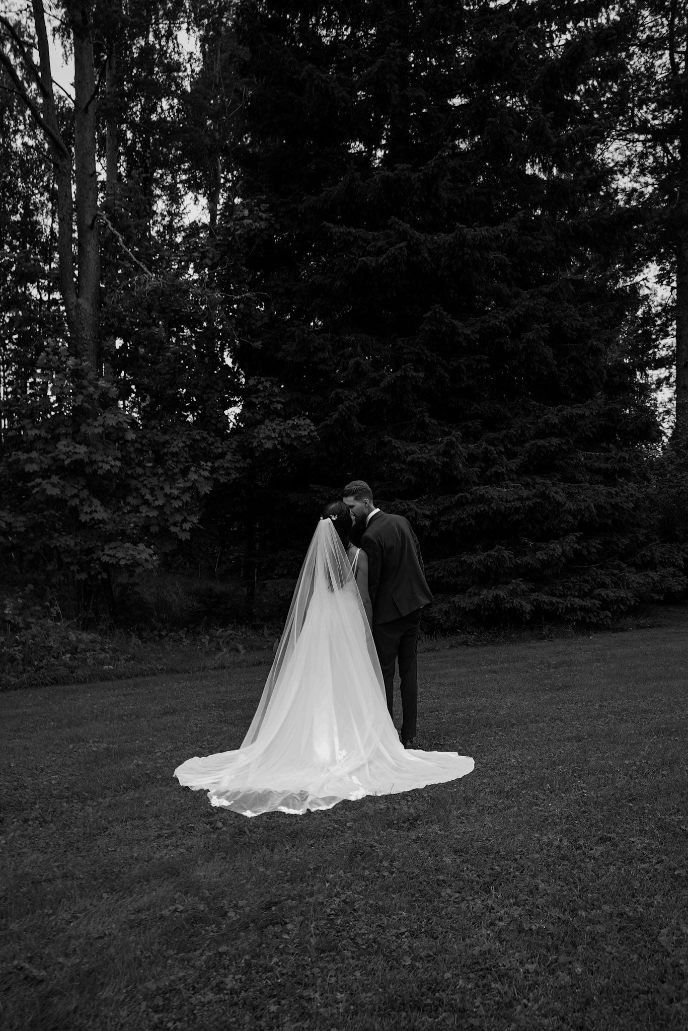 Silhouetted wedding couple in black and white against a wooded backdrop.