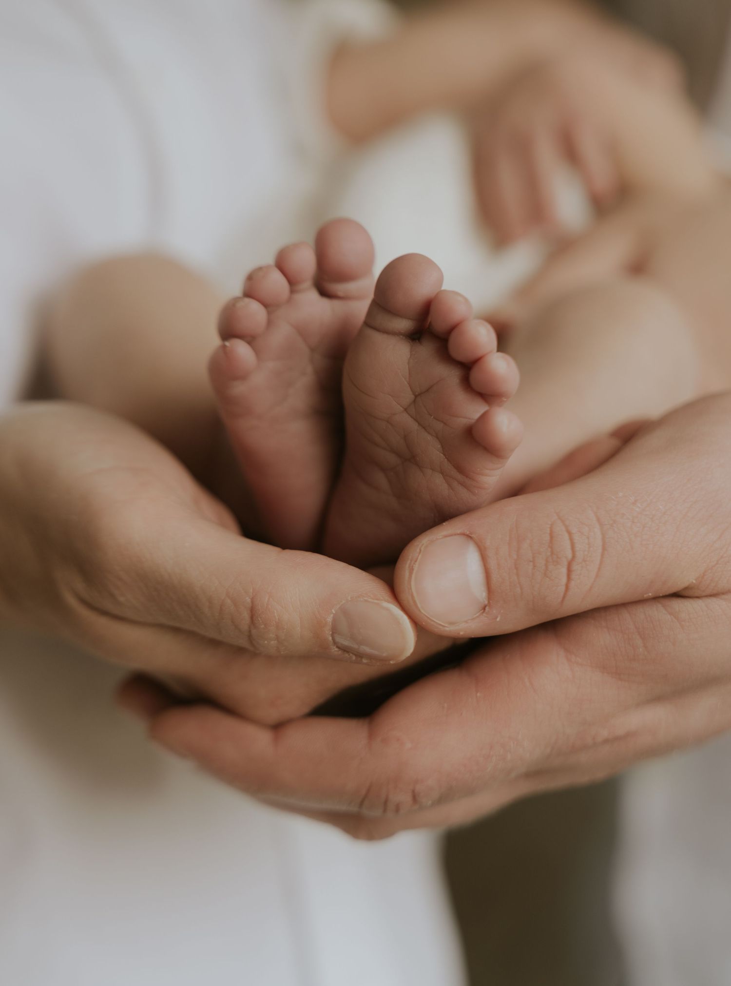 Adult hands gently holding tiny newborn baby feet against a soft white background in tender moment.