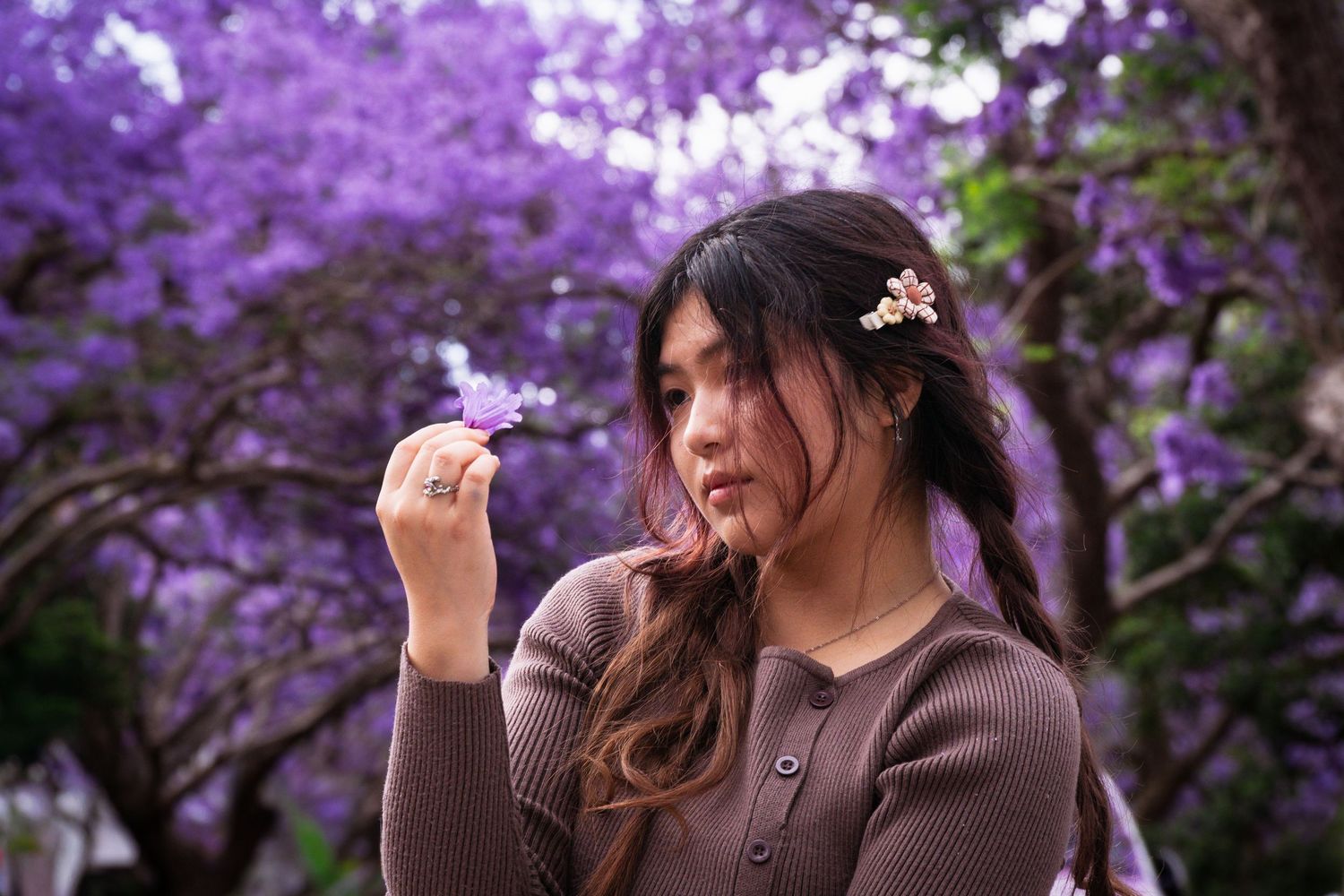A girl looking at jacaranda blossoms in Milson Park, Sydney.