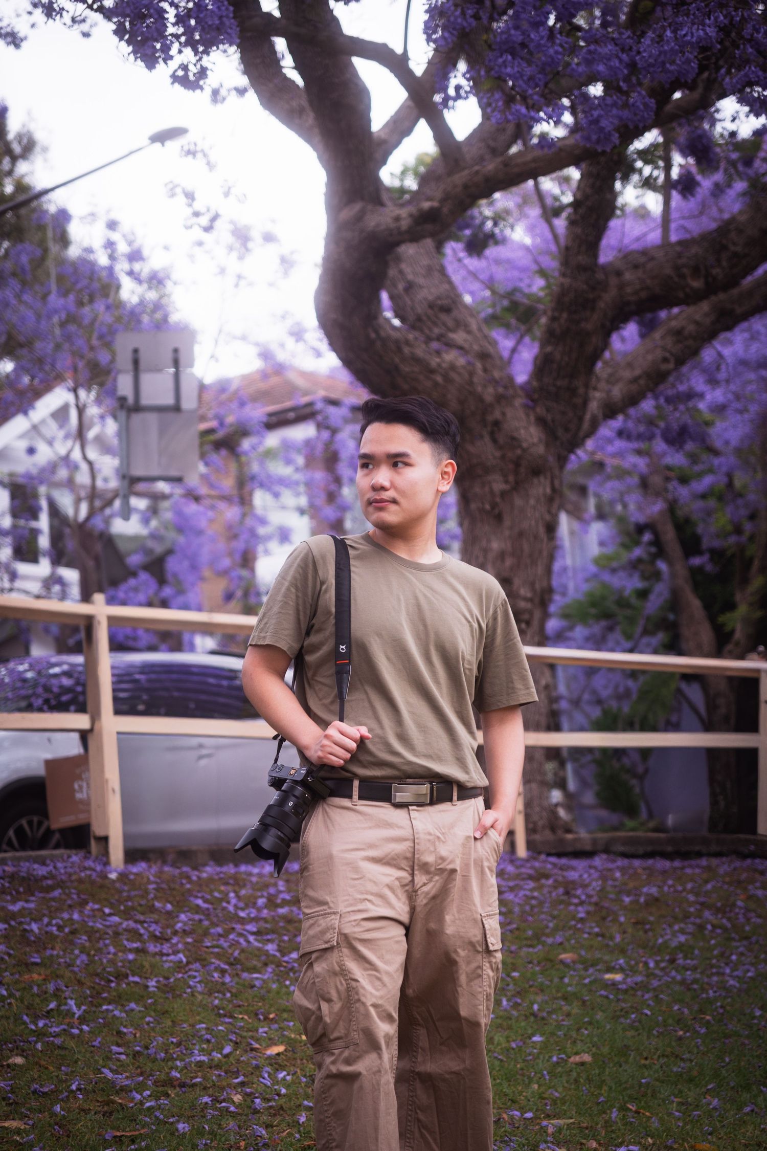 A man standing beneath a jacaranda tree at Milson Park in Sydney.