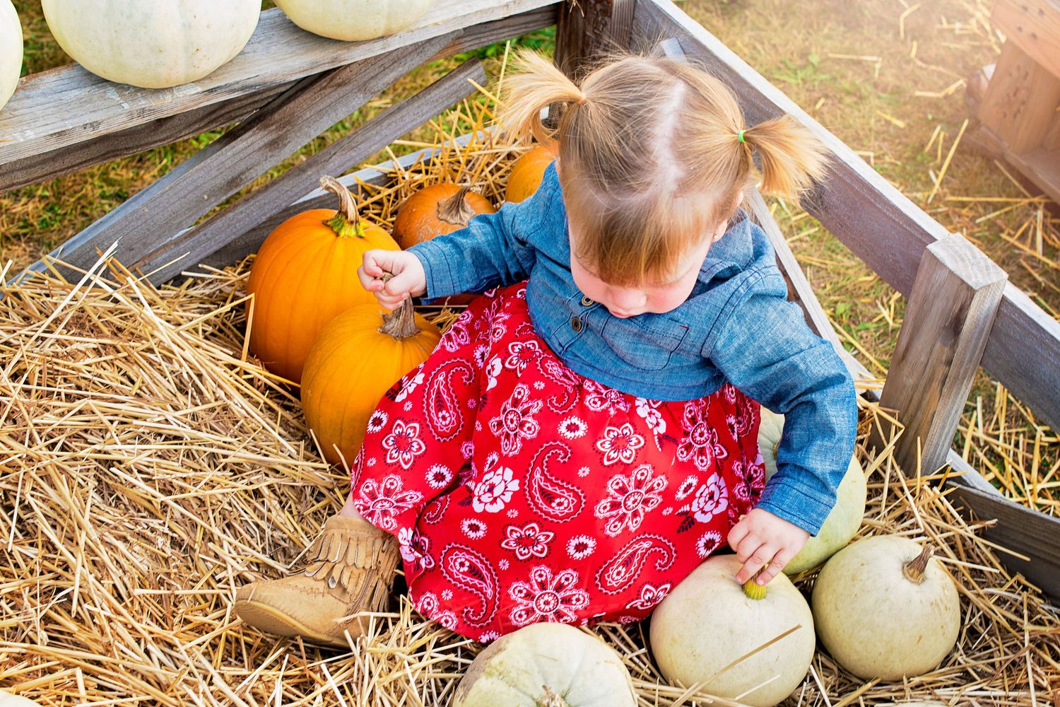 Toddler girl in red dress sitting among orange and white pumpkins on hay in a farm wagon.