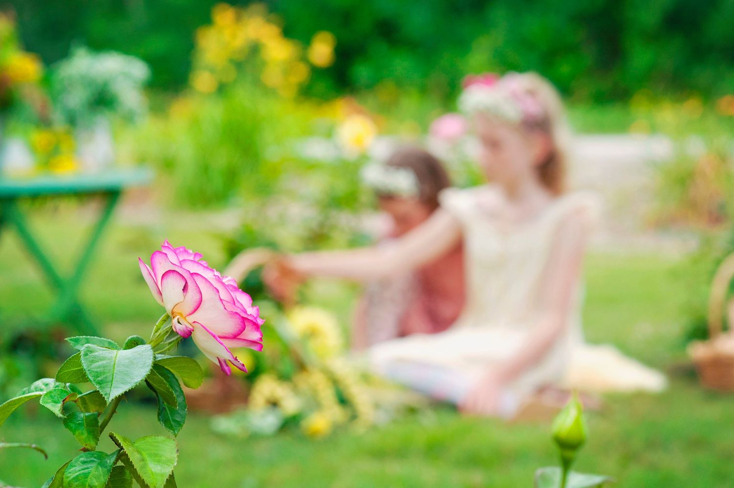 Pink rose in focus with two girls sitting in a lush green garden in background.