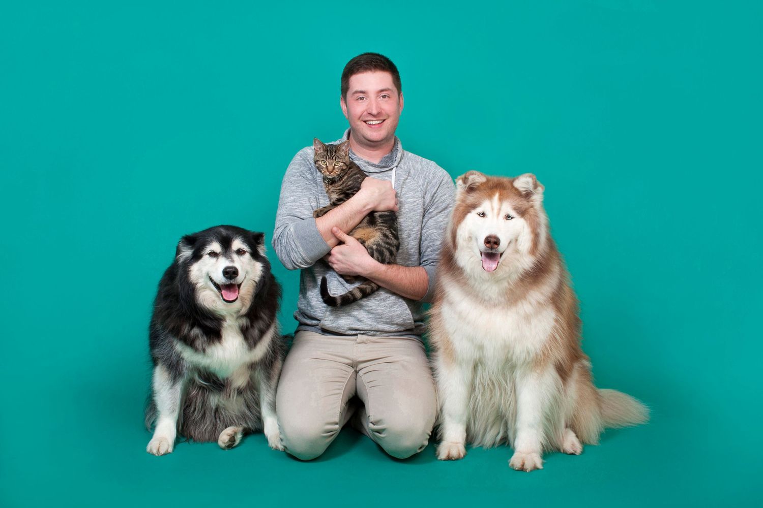 Man kneeling with two Alaskan Malamute dogs and a cat against a teal background.