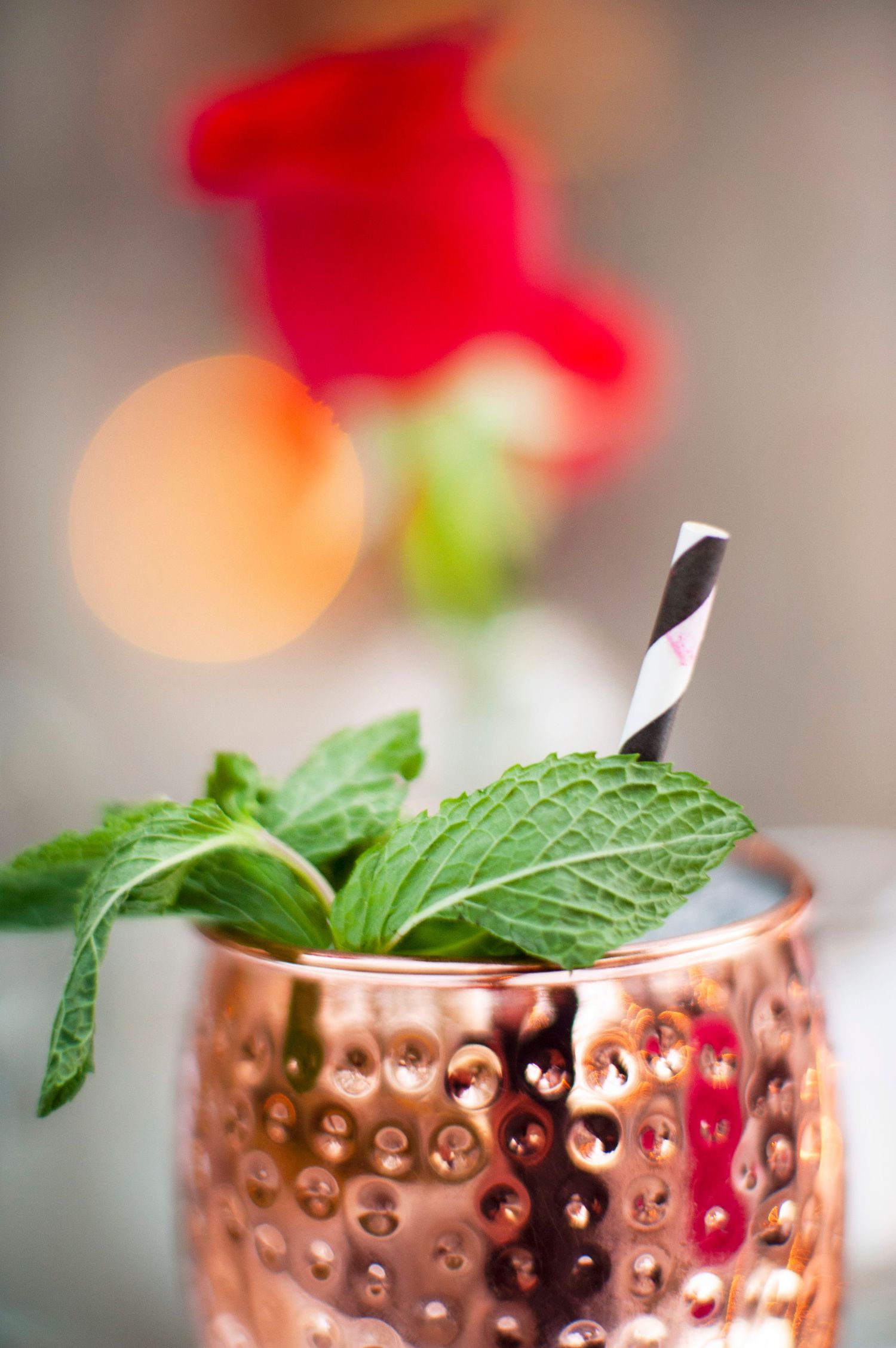 Copper Moscow Mule mug with fresh mint garnish and striped straw with red rose background.