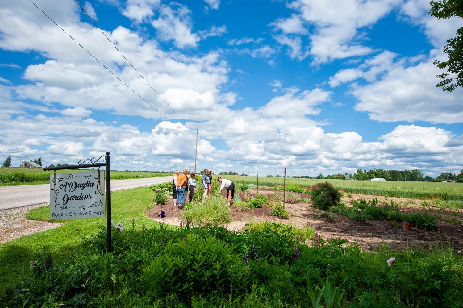 People walking through rural flower farm garden with sign under bright blue cloudy sky.
