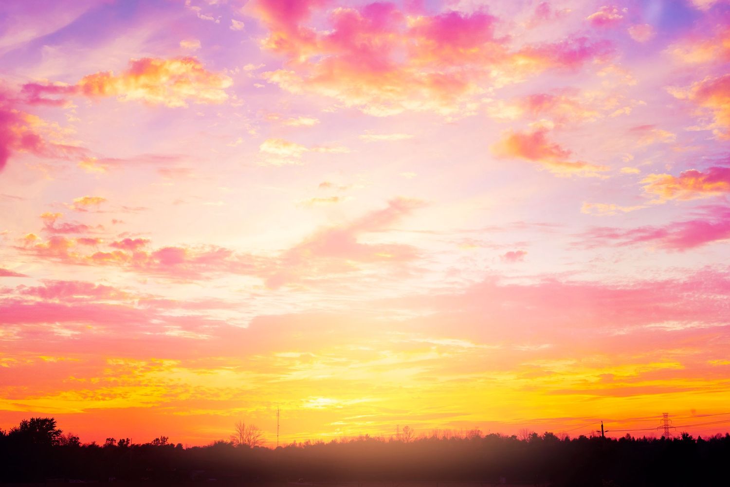 Stunning vibrant pink and orange sunset sky with silhouetted trees on the horizon.