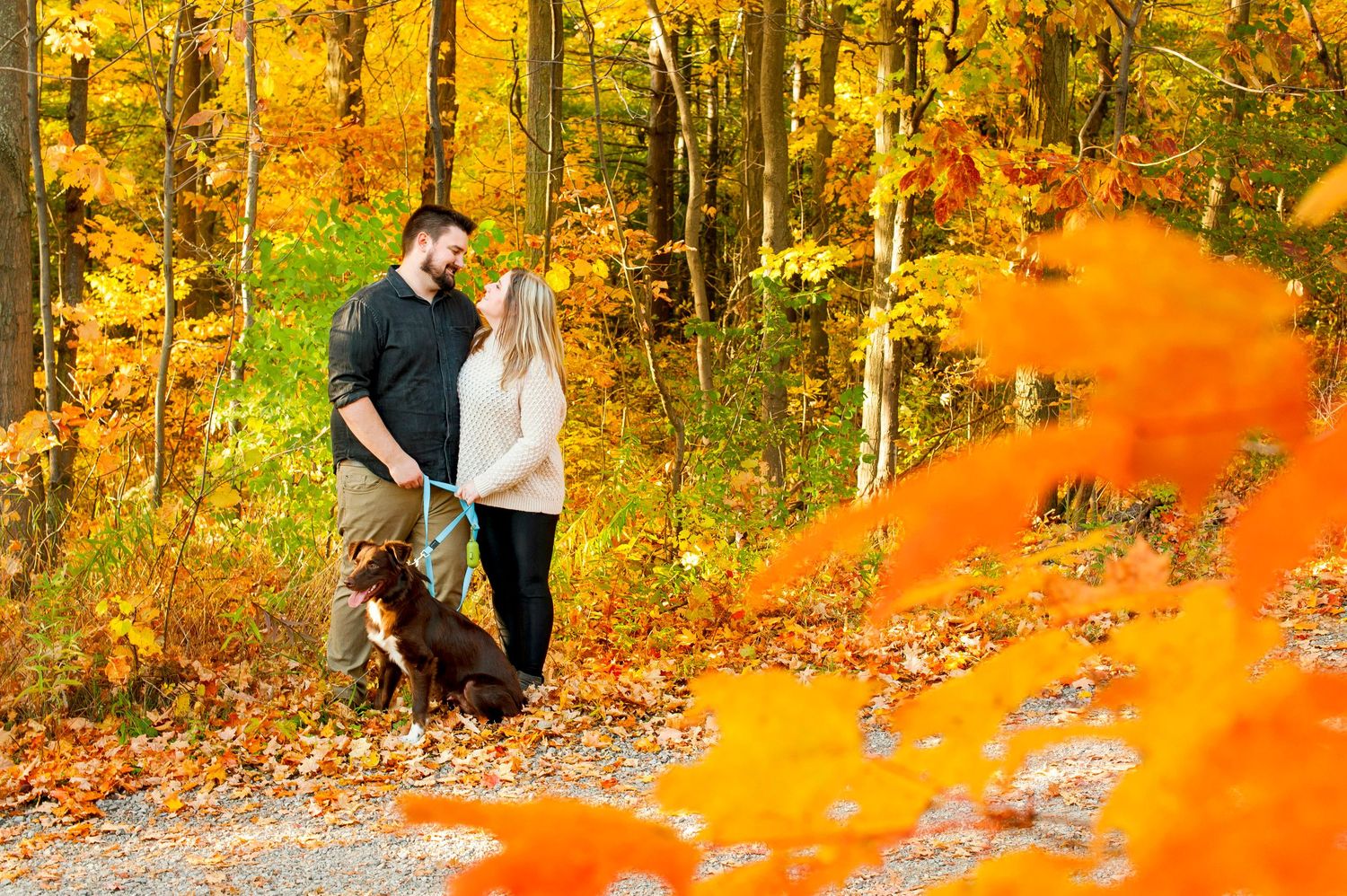 Couple sharing a romantic moment in a vibrant autumn forest with golden orange leaves and their dog.