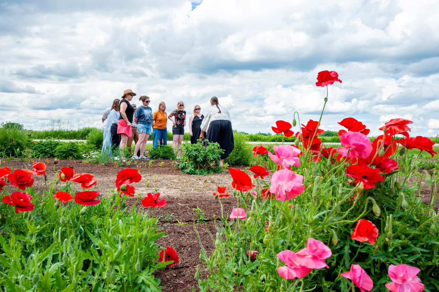 Group of people gathered in a vibrant flower farm field with red and pink poppies under cloudy sky.