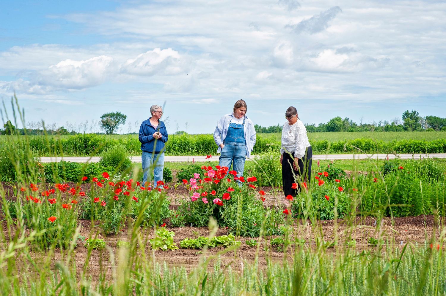 Three people admiring vibrant red poppies growing in a lush green farm field under a cloudy blue sky.