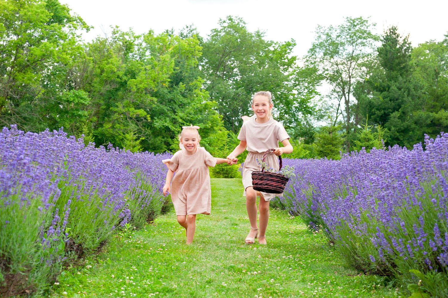 Two girls running through lavender fields holding hands and a basket on a sunny day.
