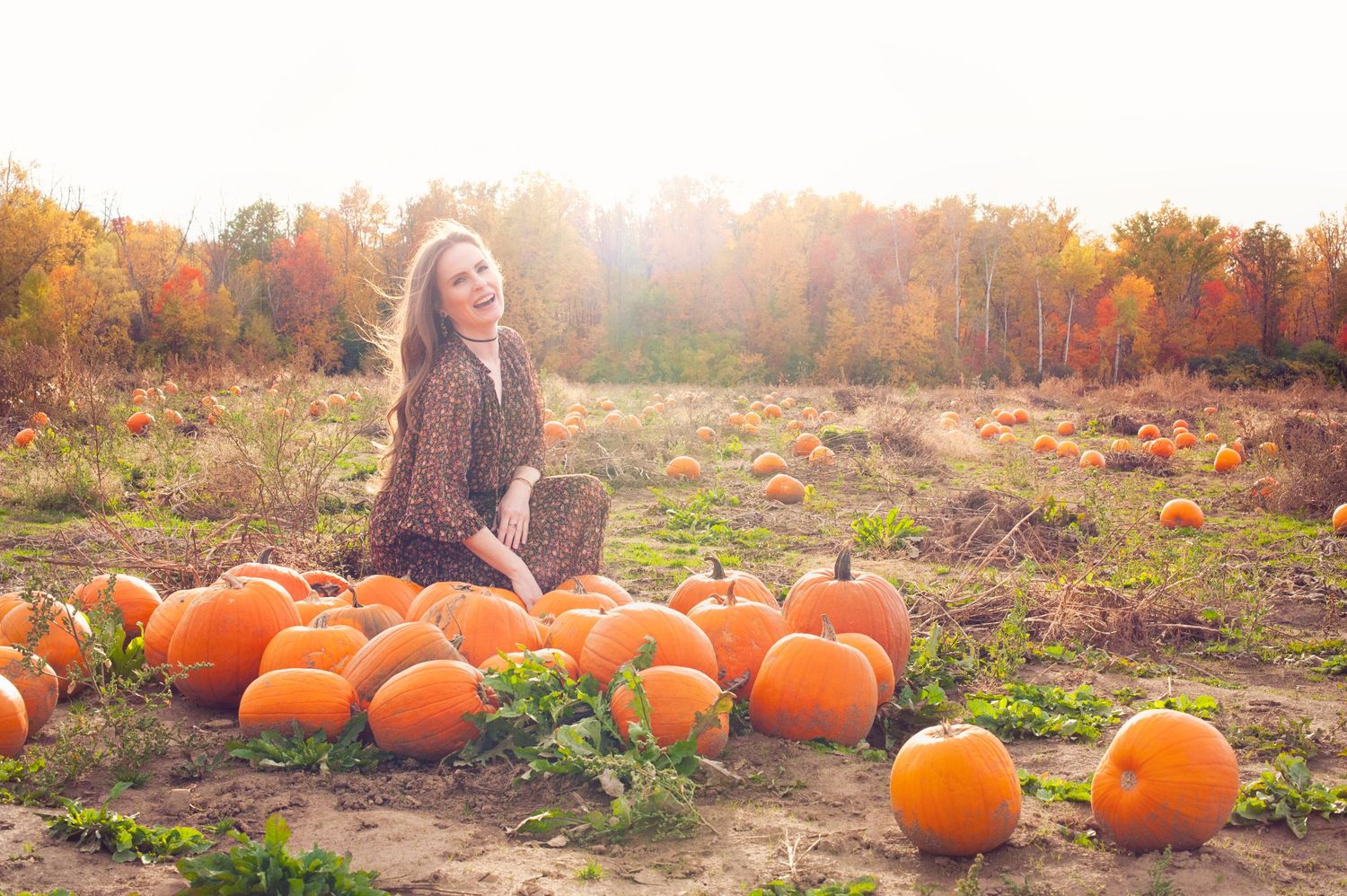 Smiling woman sitting among orange pumpkins in a sunny fall pumpkin patch with autumn trees.