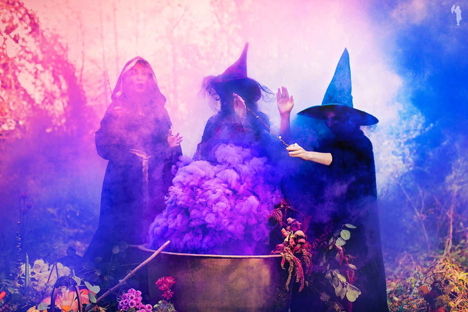 Three witches in black cloaks and hats stirring a cauldron with colorful purple smoke in a forest.