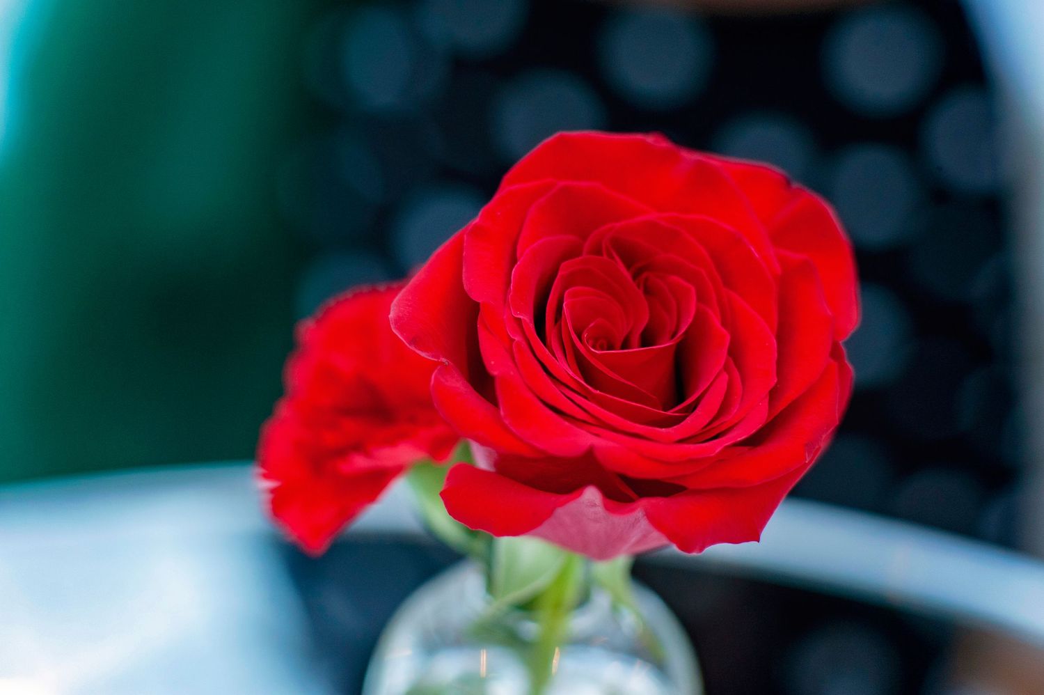 Single red rose in small glass vase on reflective table with soft bokeh background.