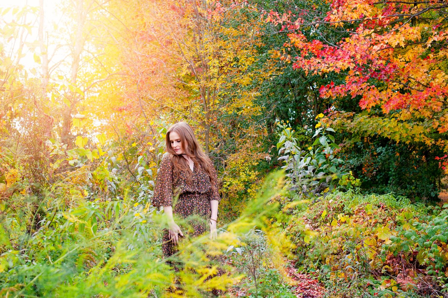 Young woman walking through colorful autumn forest with golden sunlight glowing.